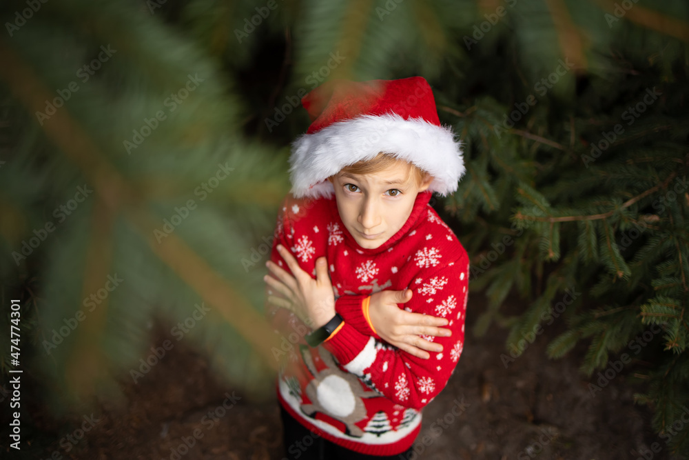 A boy in a red knitted Christmas sweater with a Christmas reindeer and a Santa Claus hat is standing under a Christmas tree holding his shoulders trying to keep warm