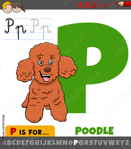 letter P from alphabet with cartoon poodle dog character