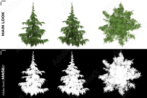3D Rendering of Front, Left and Top view of Tree (Cedrus Deodara) with alpha mask to cutout and PNG editing. Forest and Nature Compositing.	
