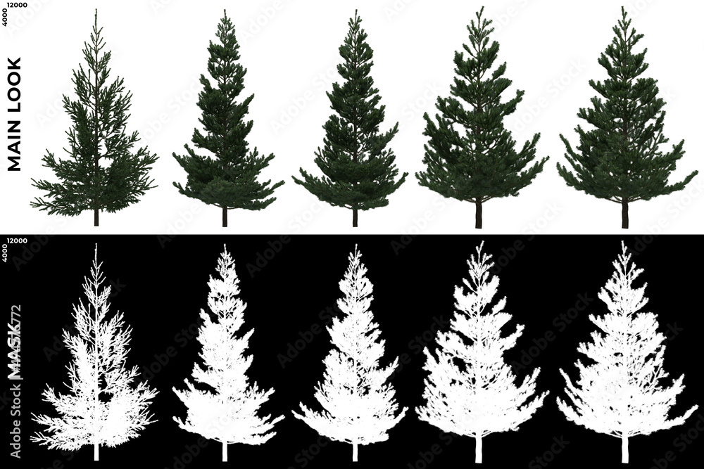 Fototapeta premium 3D Rendering of Generic Trees with alpha mask to cutout and PNG editing. Forest and Nature Compositing. 