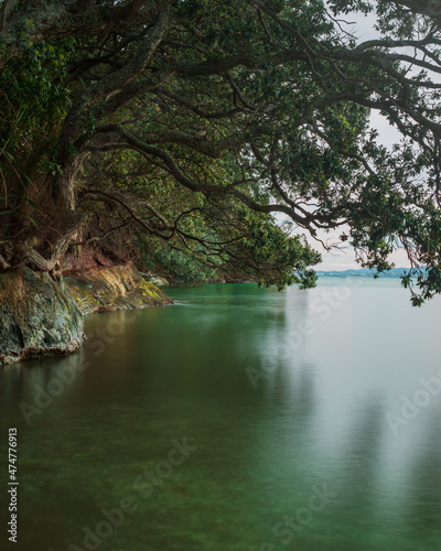 Shady Coastline