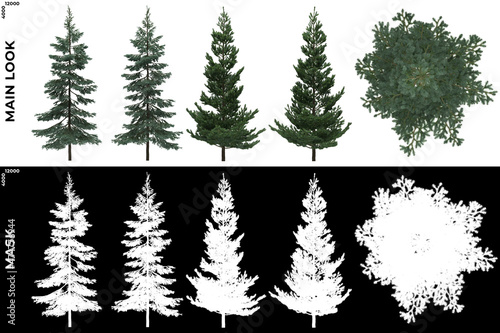 3D Rendering of Front  Left and Top view of Generic Trees with alpha mask to cutout and PNG editing. Forest and Nature Compositing.  