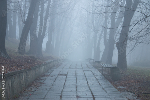 Fototapeta Naklejka Na Ścianę i Meble -  Park alley in the fog. Autumn background.