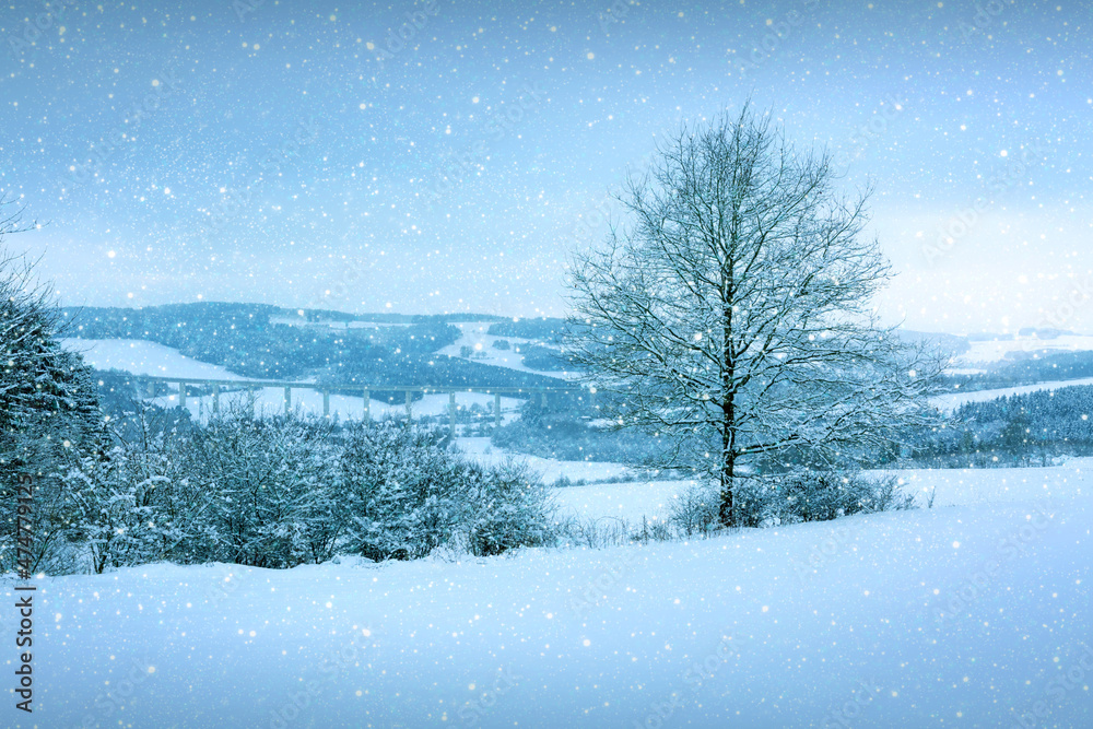 Winter landscape with snow covered trees .Christmas background.