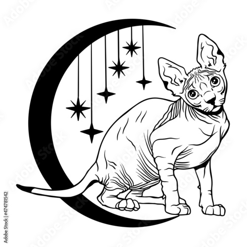 Mystical bald sphinx cat. Against the background of the moon and stars. Magic illustration. Cute cat vector art. File for cutting vinyl and print. T-shirt design and stuff.
