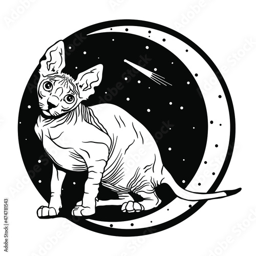 Mystical bald sphinx cat. Against the background of the moon and stars. Magic illustration. Cute cat vector art. File for cutting vinyl and print. T-shirt design and stuff.