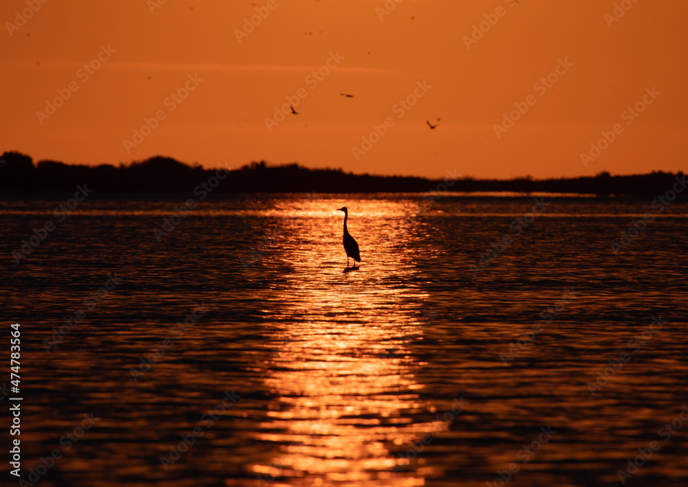Fototapeta premium amanecer