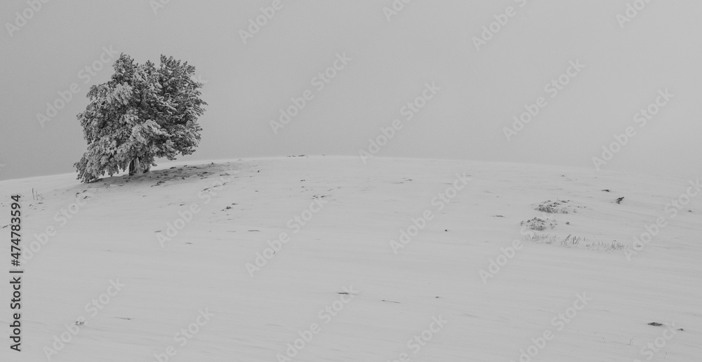 custom made wallpaper toronto digitalsolitud