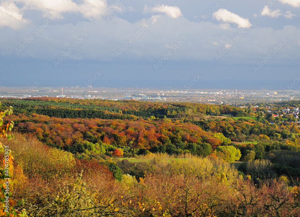 Aerial View From The Zauberberg In Ruppertshain To The Foliage Around Frankfurt Am Main Hesse Germany On A Beautiful Autumn Day With A Clear Blue Sky And A Few Clouds