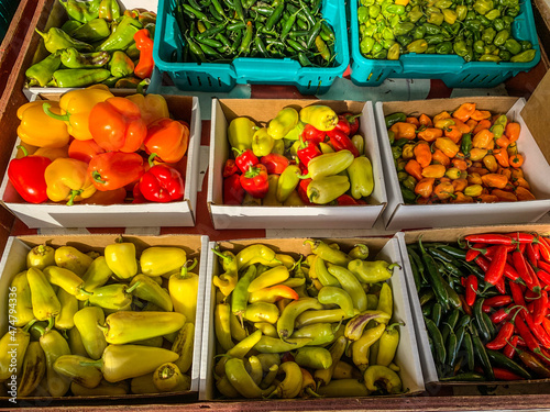 Colourful peppers at a farmers market in Keremeos, BC photo