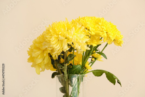 Fototapeta Naklejka Na Ścianę i Meble -  Vase with yellow chrysanthemum flowers  against light wall