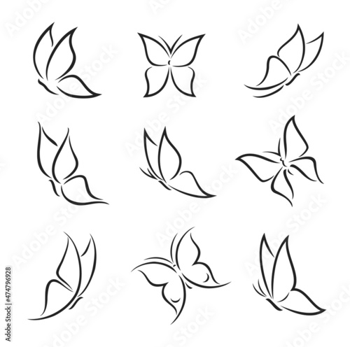 Outline butterfly silhouettes and contours. Moth vector insect logo with open and closed wings, isolated summer or spring butterfly. Tattoo design, spa or beauty salon symbol