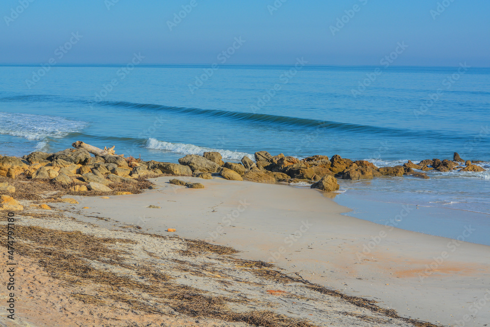 The rocky Atlantic Coast, at Marineland Beach in Marineland, Flagler County, Florida