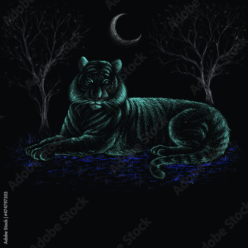 The Vector logo tiger for tattoo or T-shirt design or outwear.  Hunting style big cat 2022 print on black background. This hand drawing is for black fabric or canvas.