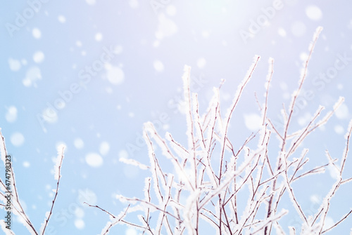 Winter nature background, falling snow, sunlight