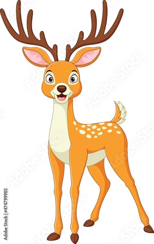 Cartoon funny deer on white background