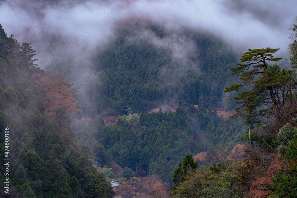 Autumn season misty wether mountain. Beautiful background. Misty mountain forest landscape in the morning in Japan