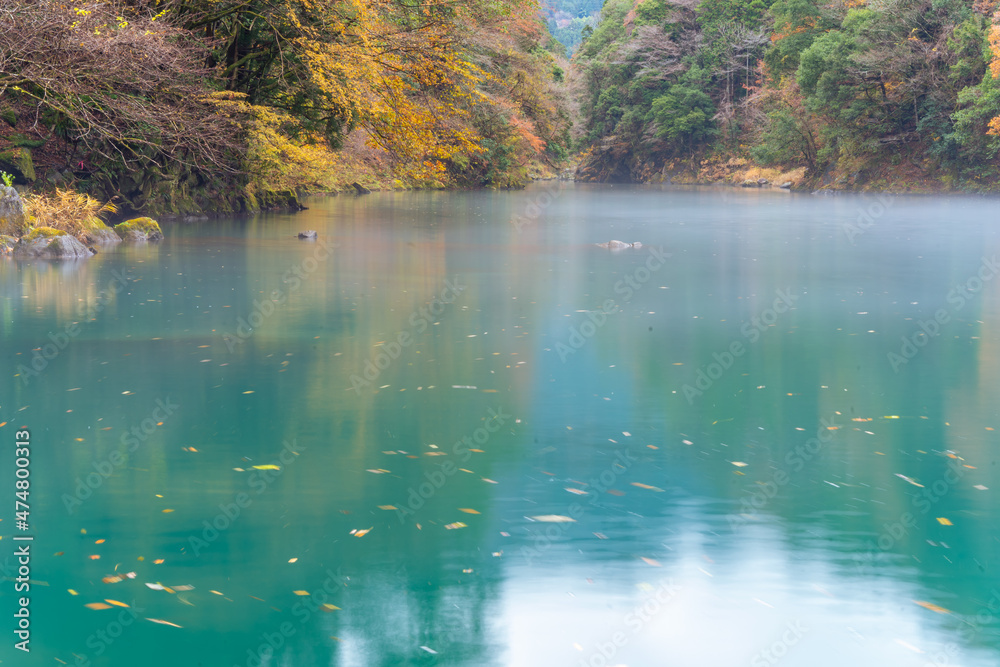 Fototapeta premium Autumn landscape beautiful colour trees over the river glowing in the sunlight and misty. wonderful background. mountain reflection green water. Amazing view river dam in Japan