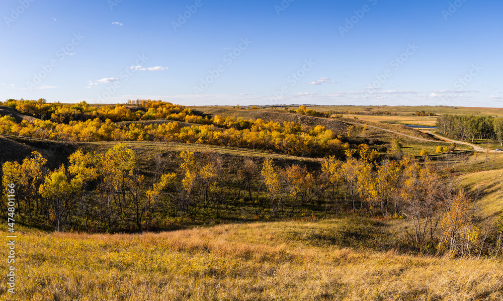 The colors of fall across the prairie and trees in the fall in North Dakota