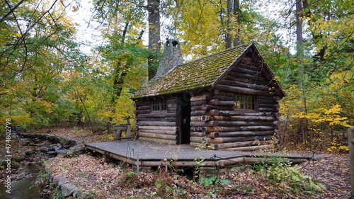 Creekside Log Cabin in Woodland Daylight