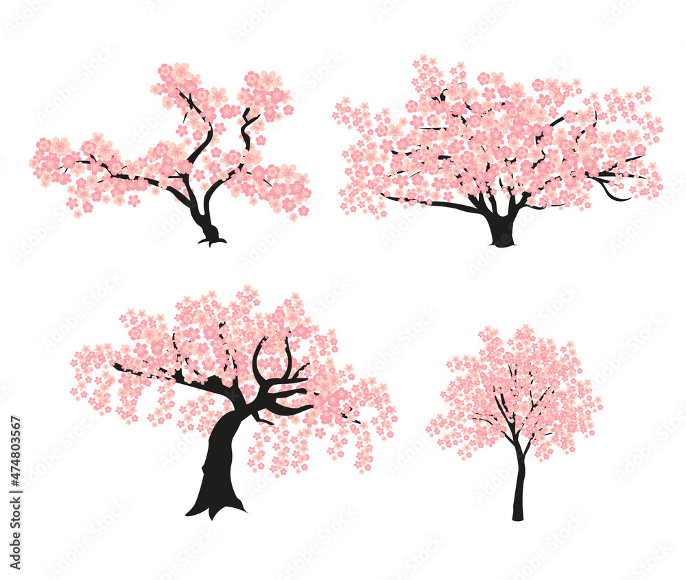 A set of beautiful, pink, flat vector trees of cherry blossoms, sakura for spring, summer decoration