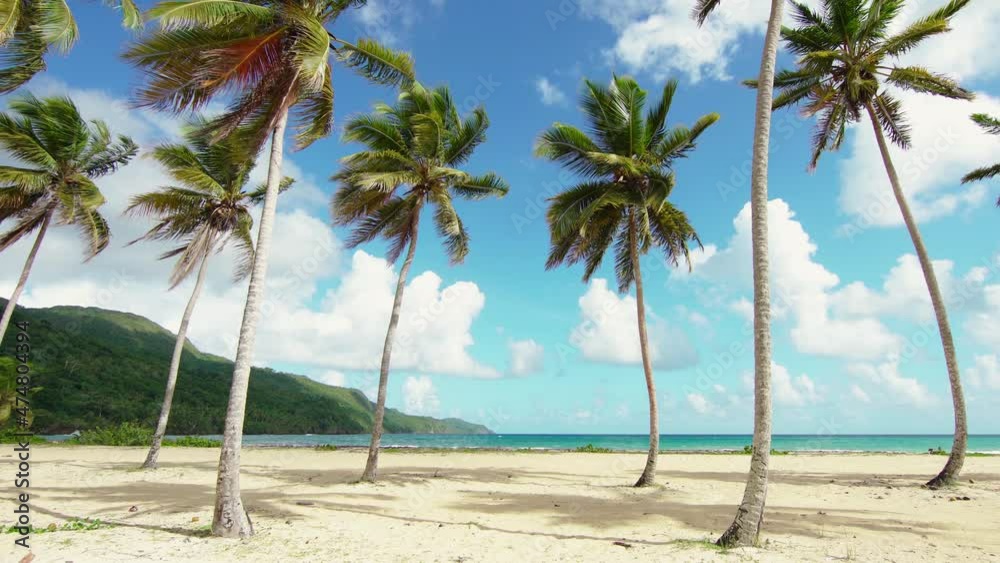 Yellow and green palm leaves against a blue cloudy sky. Summer beach with white sand and palm trees on the sea coast. Seascape in bright sunlight. Yellow and green palm leaves against a blue cloudy sky. Summer beach with white sand and palm trees on the sea coast. Seascape in bright sunlight.