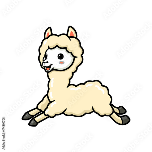 Cute little alpaca cartoon running