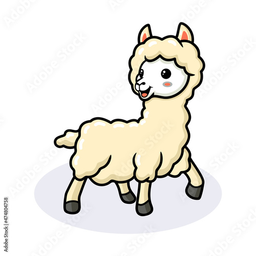 Cute little alpaca cartoon posing