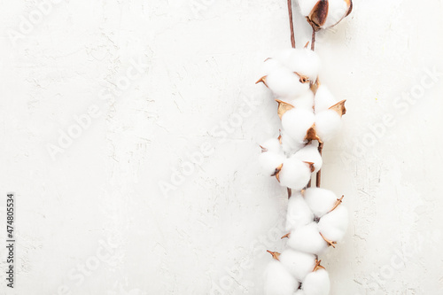 Soft cotton flowers on light background