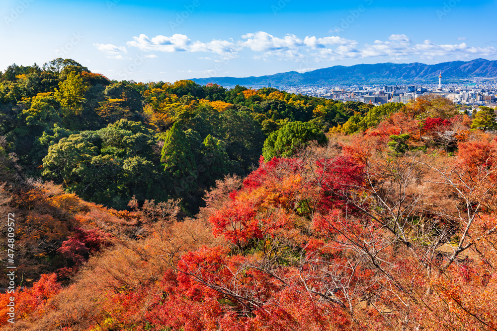 秋の京都　清水寺から眺望