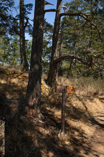 Wooden sign on a trail located on Pender Island, Canada.  photo