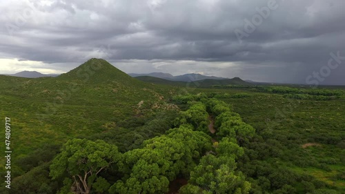 Moody dramatic atmospheric monsoon conditions Arizona. Drone flying low over green cottonwood trees. photo