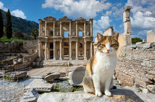 Ephesus historical ancient ...