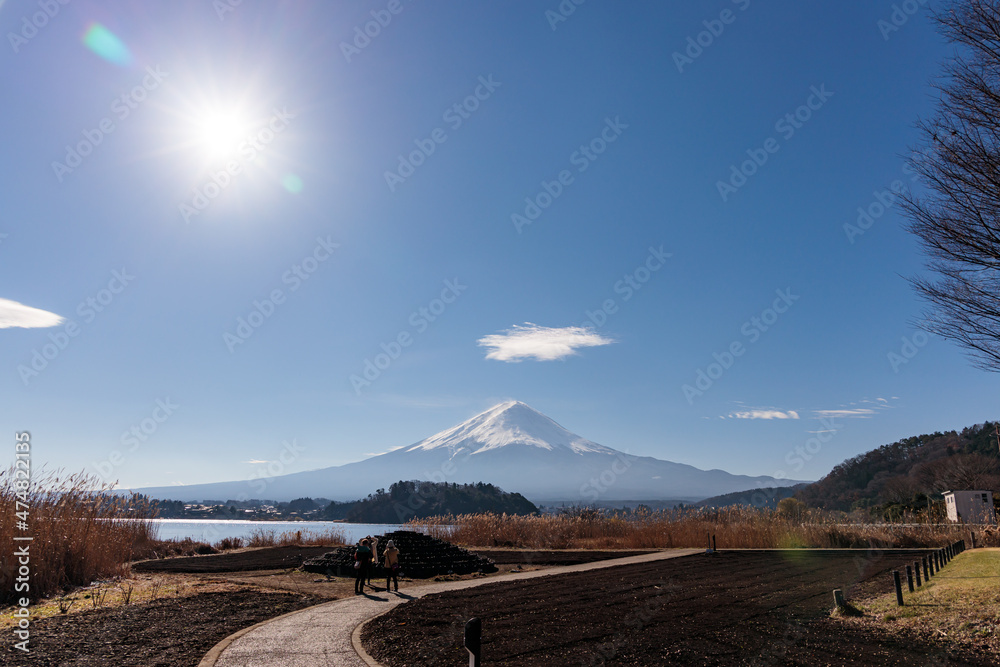Obraz premium 山梨県大石公園からの富士山