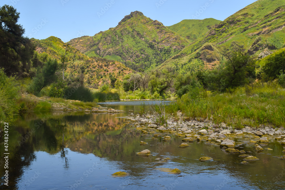 Malibu Creek in Spring Malibu Creek in Spring