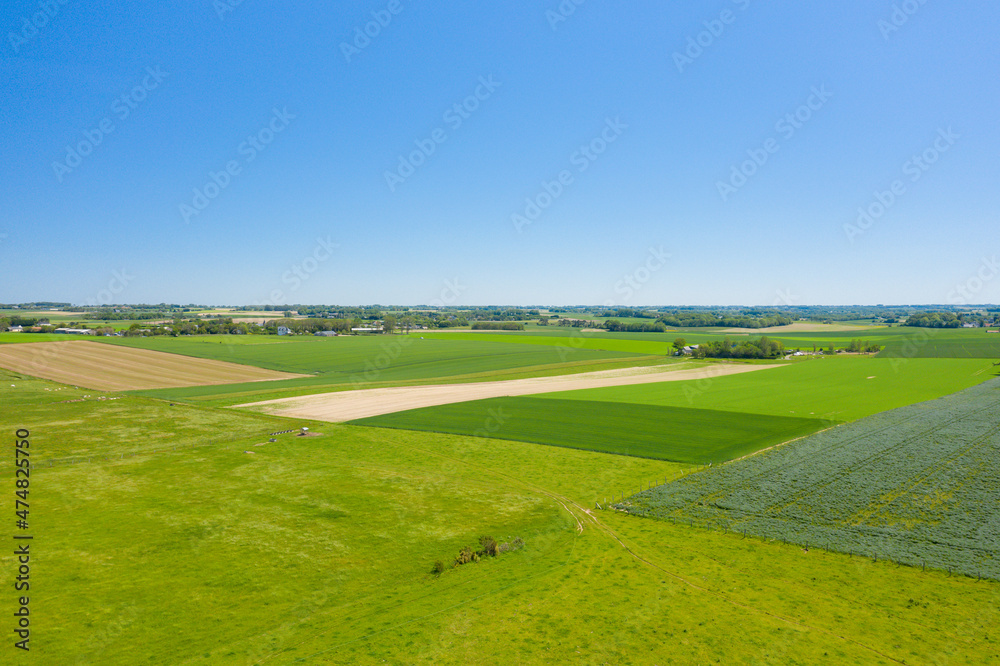 Obraz premium The Normandy countryside and its fields of flax and barley in Europe, France, Normandy, towards Deauville, in summer, on a sunny day.