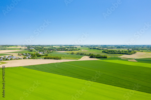 The Normandy countryside and its green colors in Europe, France, Normandy, towards Deauville, in summer, on a sunny day.