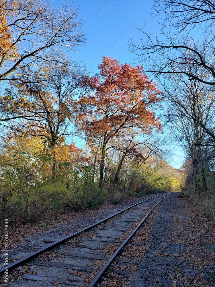 Fall Trees by Railroad Tracks Fall Trees by Railroad Tracks