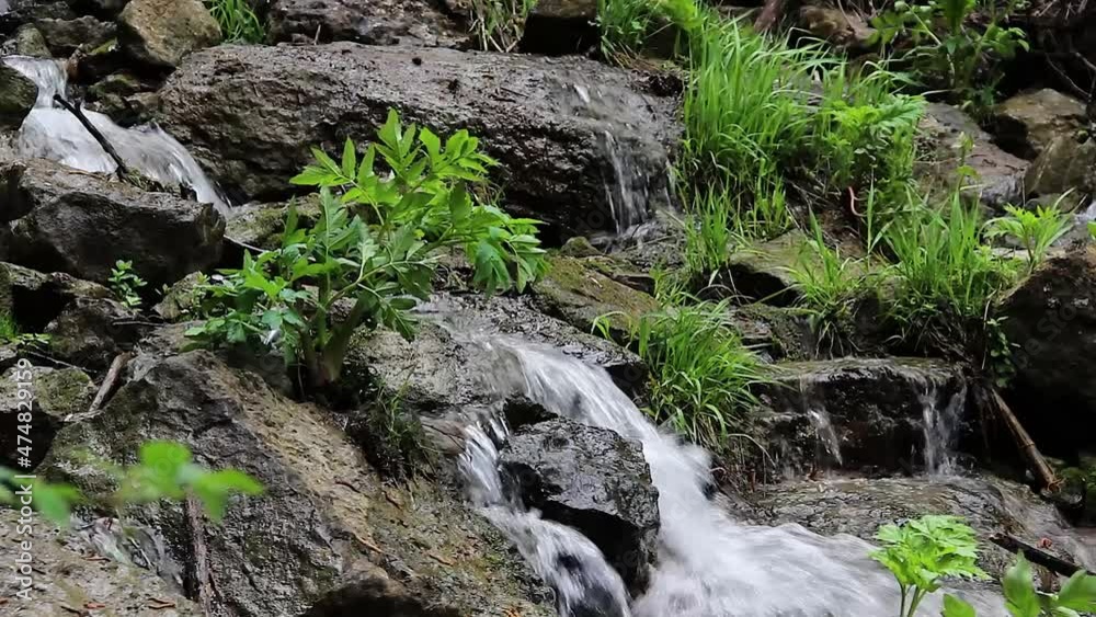 Kuperlya waterfall in summer forest, Ingushetia, Caucasus Mountains, Russia Kuperlya waterfall in summer forest, Ingushetia, Caucasus Mountains, Russia