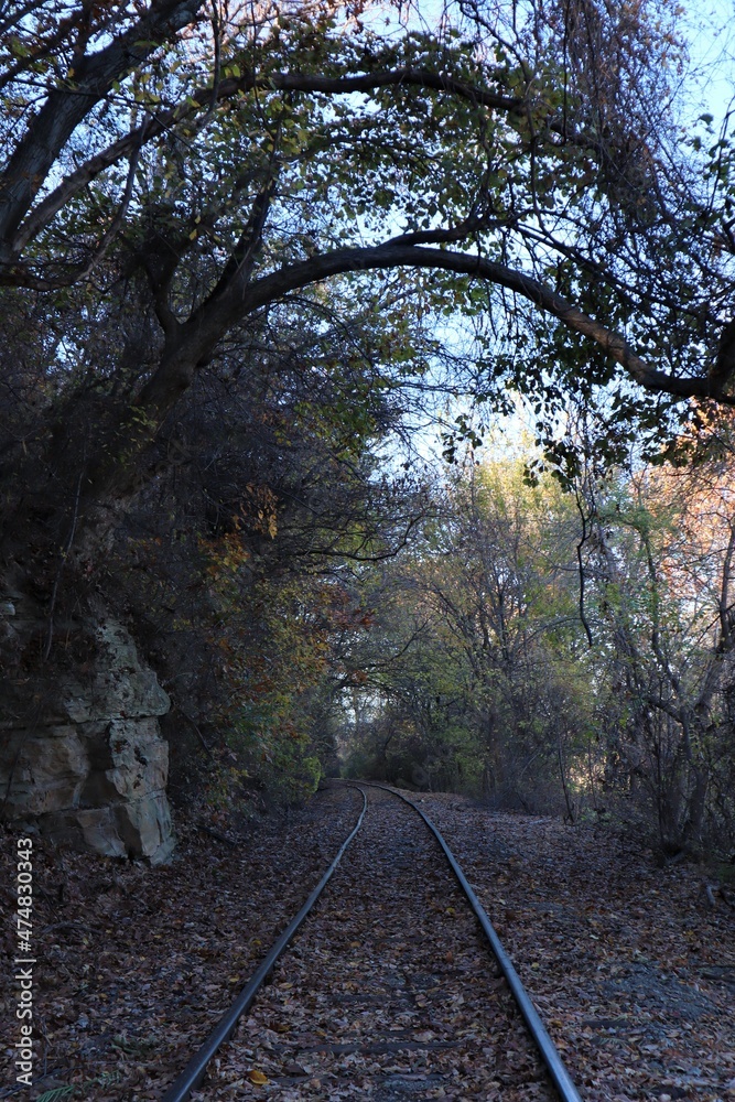 Obraz premium Fall Trees by Railroad Tracks