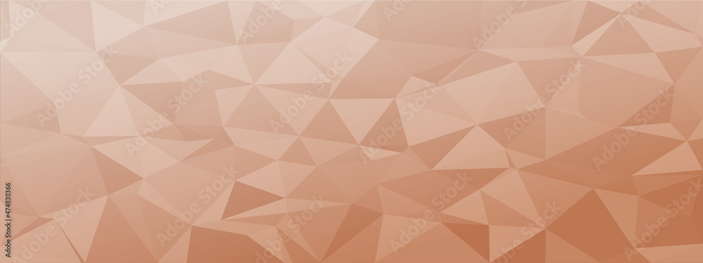 low poly abstract modern background. delicate colors chaotic triangles variable size and rotation. Minimalist layout for business card landing page wallpaper website brochure. Trendy vector eps10 - obrazy, fototapety, plakaty 