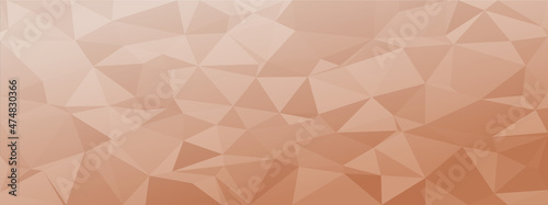 low poly abstract modern background. delicate colors chaotic triangles variable size and rotation. Minimalist layout for business card landing page wallpaper website brochure. Trendy vector eps10