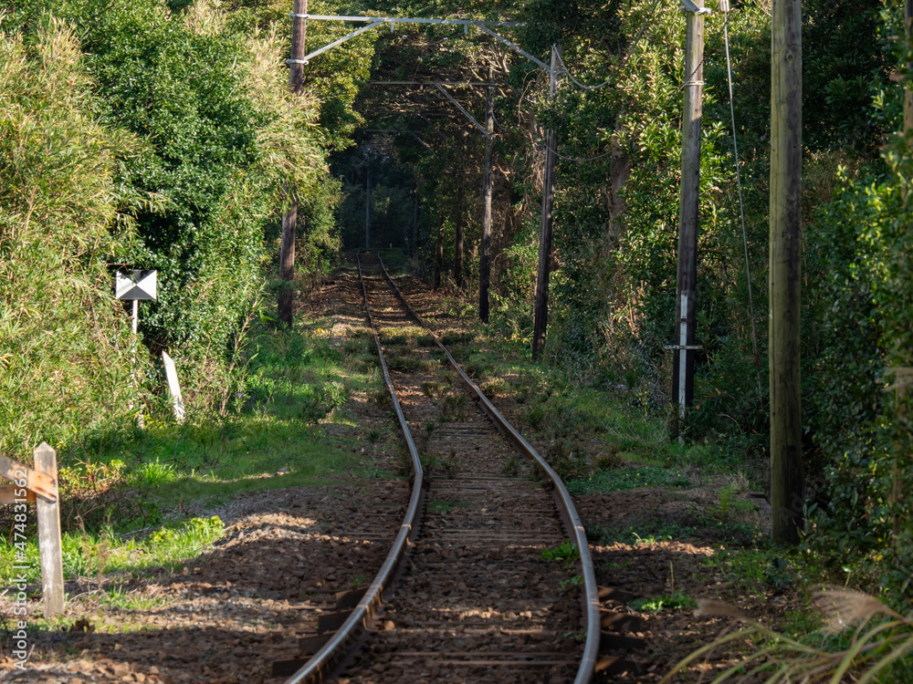 Fototapeta premium 森の中に続く線路 銚子電鉄