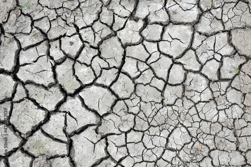 Dry cracked earth texture background. Dried earth pattern. Dry cracked earth texture background. Dried earth pattern.