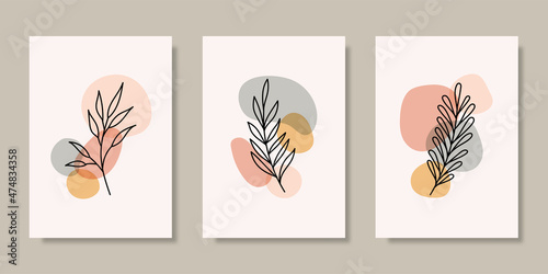 Collection of leaf illustrations with abstract background. Abstract Art design for print, cover, wallpaper, Minimal and natural wall art. Vector illustration.