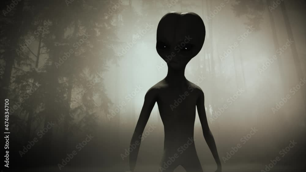 Vidéo Stock 3D CGI VFX animation of a classic Roswell grey alien in a ...