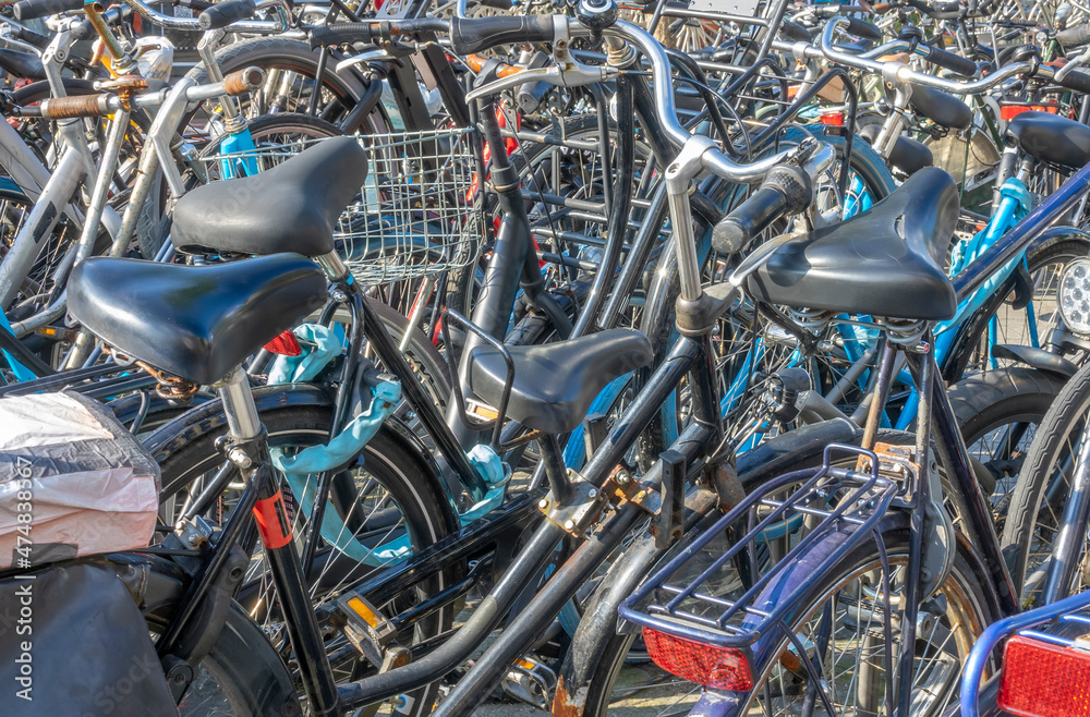 Many Bicycles in the Bicycle Parking on a Sunny Day