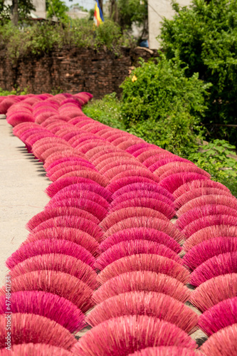 Bamboo sticks being dried outdoor to be made into incense sticks in Quang Phu Cau Village, the outskirts of Hanoi, Vietnam