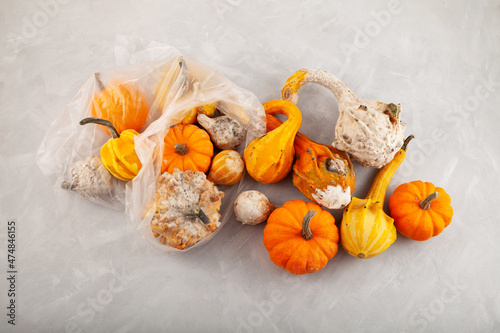 Rotten spoiled pumpkins in plastic bag on textured grey background. Ugly moldy vegetables. Improper food storage. Concept - reduction of organic waste photo