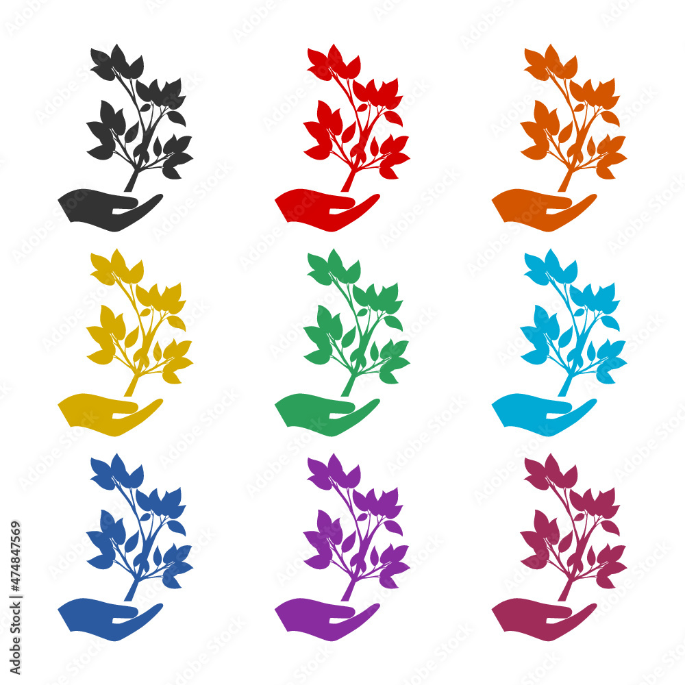 Hand carrying plant seed icon isolated on white background, color set Hand carrying plant seed icon isolated on white background, color set